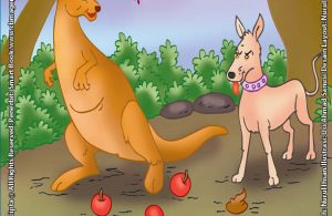 Persahabatan Anjing dan Kanguru Terputus Gara-Gara Ulah Kanguru