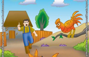 Serigala dan Ayam Jantan yang Sama-Sama Cerdik