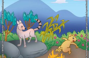 Tupai yang Ingin Memiliki Ekor Seindah Rakun