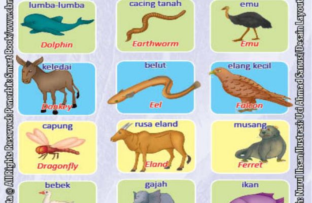 Kamus Visual Binatang Dua Bahasa Indonesia Inggris (4)