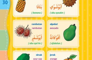 download gratis ebook pdf kamus bergambar 3 bahasa indonesia, inggris, arab nama buah-buahan (1)