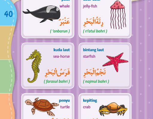 download gratis ebook pdf kamus bergambar 3 bahasa indonesia, inggris, arab nama-nama hewan di laut (2)