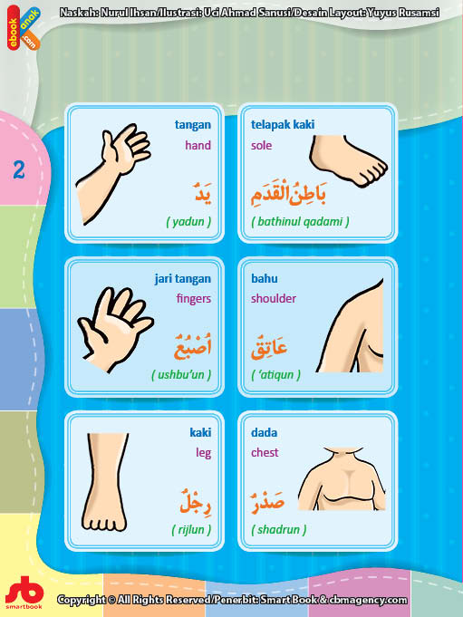 download gratis ebook pdf kamus bergambar 3 bahasa indonesia, inggris, arab tubuh manusia 2
