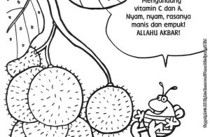 ebook seri mewarnai cerita thayyibah allahu akbar buah rambutan mengandung vitamin A dan C