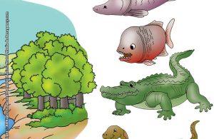 ilustrasi-rahasia-keajaiban-bumi-amazon-sungai-terbesar-di-bumi2