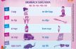 baca dan download gratis 10 menit mahir membaca, Belajar Membaca Suku Kata ap, ip, up, ep, op