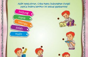 ebook seri sains anak alam semesta Rahasia Keajaiban tubuh, Lembar Aktivitas PAUD TK Mengenal Fungsi Panca Indera