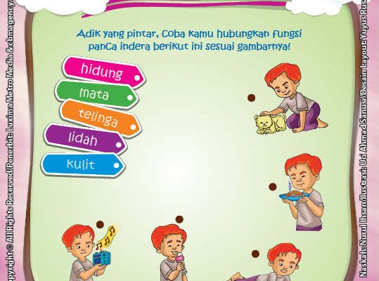 Seri Sains Anak Alam  Semesta  Rahasia Keajaiban  Tubuh 