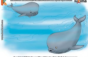 ilustrasi seri sains anak mengenal alam semesta rahasia keajaiban lautan, Ternyata Suara Jantung Paus Biru Bisa Terdengar dari Jarak 3,5 KM