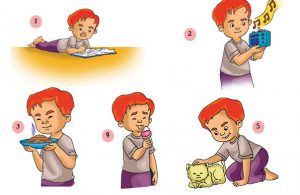 ilustrasi seri sains anak mengenal alam semesta rahasia keajaiban tubuh, Seberapa Pentingkah Manfaat Panca Indera Bagi Manusia