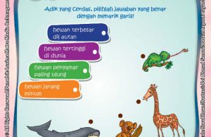 Rahasia Keajaiban hewan, Lembar Aktivitas PAUD TK Belajar Menarik Garis