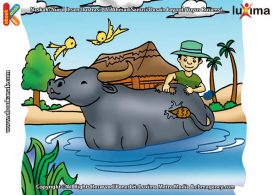 ilustrasi rahasia keajaiban air, Bagaimana Cara Kerbau Membersihkan Tubuhnya