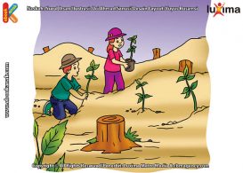 ilustrasi rahasia keajaiban air, Kenapa Daerah yang Gundul Harus Ditanami Pohon