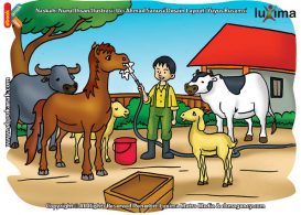 ilustrasi rahasia keajaiban air, Tanpa Minum Air, Apakah Hewan Bisa Bertahan Hidup