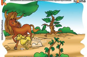 ilustrasi rahasia keajaiban tumbuhan, Apakah Nama Tanaman Berduri yang Paling Berbahaya