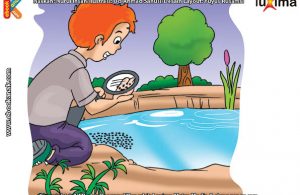 ilustrasi rahasia keajaiban tumbuhan, Apakah Nama Tumbuhan Terkecil di Dunia
