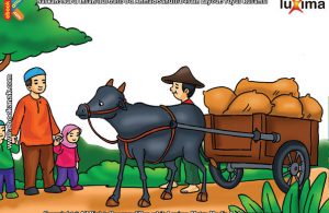 ilustrasi seri mengenal islam sejak usia dini mengenal hukum allah, Inilah Alasan Kenapa Menyabung Ayam itu Diharamkan