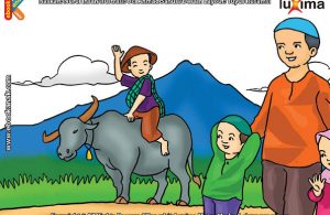 ilustrasi seri mengenal islam sejak usia dini mengenal hukum allah, Kenapa Menyabung Ayam Itu Diharamkan