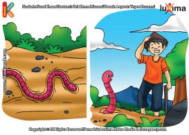 ilustrasi rahasia keajaiban makhluk hidup, Kenapa Petani Senang pada Cacing Tanah