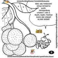 Buah Rambutan Banyak Mengandung Vitamin A dan C