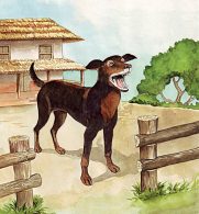 Anjing Penjaga yang Pintar Menjaga Rumah Kita