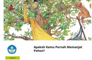 Apakah Kamu Pernah Memanjat Pohon