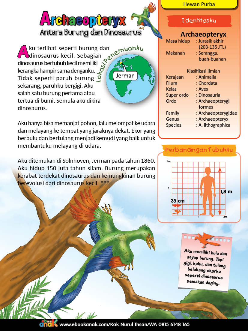 Archaeopteryx, Antara Burung Purba dan Dinosaurus