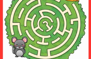 Bantu Titi Tikus Menemukan Kejunya