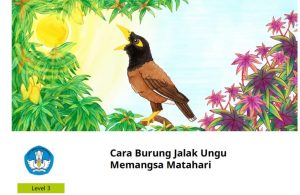 Cara Burung Jalak Ungu Memangsa Matahari