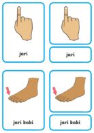 Download Kartu Bagian Tubuh Manusia Jari Tangan dan Jari Kaki Manusia (1)