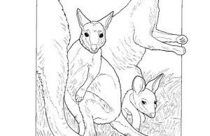 Ebook Baby Animals Coloring Book (2)