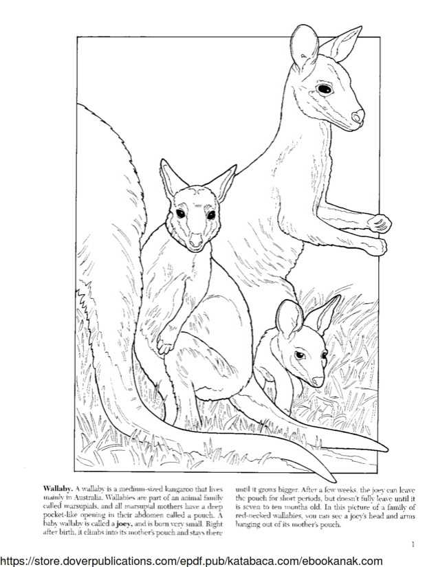 Ebook Baby Animals Coloring Book (2)