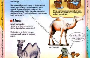 Ebook Legal dan Printable Aku Anak Cerdas Dunia Hewan  1 