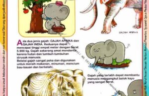 Ebook Legal dan Printable Aku Anak Cerdas Dunia Hewan 1, Gajah (16)