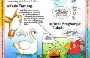 Ebook Legal dan Printable Aku Anak Cerdas Dunia Hewan 1, Sayap dan Bulu Burung (28)