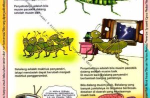 Ebook Legal dan Printable Aku Anak Cerdas Dunia Hewan 2, Belalang Makhluk Penyendiri (12)