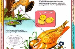 Ebook Legal dan Printable Aku Anak Cerdas Dunia Hewan 2, Burung Penyimpan Air (8)