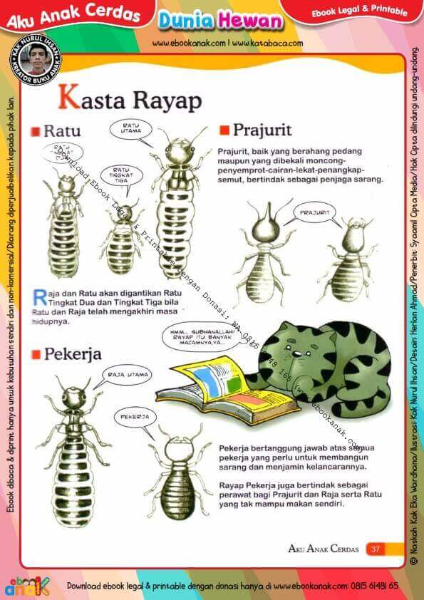 Ebook Legal dan Printable Aku Anak Cerdas Dunia Hewan 2, Kasta Rayap (16)