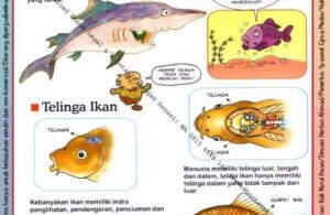 Ebook Legal dan Printable Aku Anak Cerdas Dunia Hewan 2, Kehidupan Ikan (19)