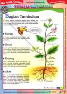 Ebook Legal dan Printable Aku Anak Cerdas Serangga dan Tumbuhan 1, Bagian Tumbuhan (25)