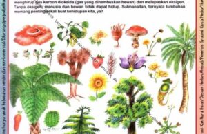 Ebook Legal dan Printable Aku Anak Cerdas Serangga dan Tumbuhan 1, Dunia Tumbuhan (23)
