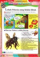 Ebook Legal dan Printable Aku Anak Cerdas Serangga dan Tumbuhan 1, Lebah Pekerja yang Selalu Sibuk (14)