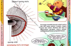 Ebook Legal dan Printable Aku Anak Cerdas Serangga dan Tumbuhan 1, Perlengkapan Serangga (22)