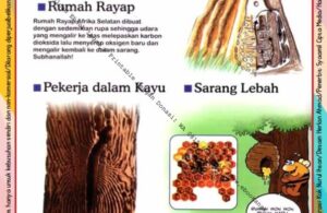 Ebook Legal dan Printable Aku Anak Cerdas Serangga dan Tumbuhan 1, Serangga Pekerja dalam Kayu (10)