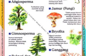 Ebook Legal dan Printable Aku Anak Cerdas Serangga dan Tumbuhan 1, Suku Tumbuh-Tumbuhan (28)