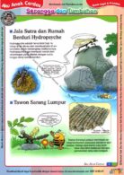 Ebook Legal dan Printable Aku Anak Cerdas Serangga dan Tumbuhan 1, Tawon Sarang Lumpur (11)