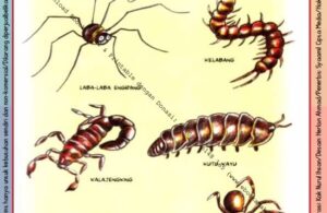 Ebook Legal dan Printable Aku Anak Cerdas Serangga dan Tumbuhan 1, Tidak Termasuk Serangga (21)