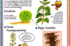 Ebook Legal dan Printable Aku Anak Cerdas Serangga dan Tumbuhan 1, Tumbuhan Melindungi Diri (27)