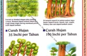 Ebook Legal dan Printable Aku Anak Cerdas Serangga dan Tumbuhan 2, Curah Hujan (23)