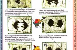Ebook Legal dan Printable Aku Anak Cerdas Serangga dan Tumbuhan 2, Pembelahan Sel Menjadi Dua (25)